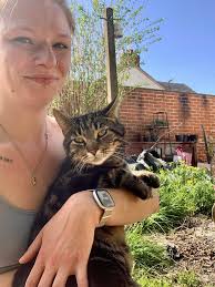 MISSING CV2, near Barras Car Wash Chipped, neutered, no collar or tags.  Looks like a very healthy well fed boy so no reason for anyone to take him  in. Minion, big short