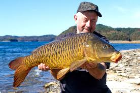 As with many other lakes in this region of the united states, the u.s. Dale Hollow Lake The Carp Angle Sports Overtoncountynews Com