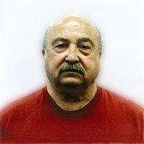 Joe Scianna Obituary