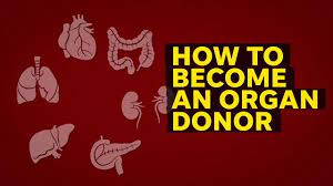 Organ Donation: How To Become A Donor And More Facts