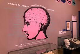 Visitors invited to face facts at striking new exhibition at north-east  university