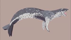 The cougar (puma concolor) is a large cat of the subfamily felinae.native to the americas, its range spans from the canadian yukon to the southern andes in south america and is the most widespread of any large wild terrestrial mammal in the western hemisphere. The Faunal Frontier Draws Hydrurga Leptonyx Leopard Seal Youtube