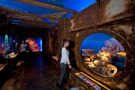 Mehr in der nähe von haus der natur salzburg. Salzburg 30 Jahre Aquarium Und Reptilienzoo Im Haus Der Natur Region Salzburg