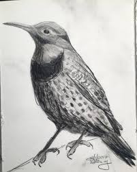 He is an accomplished illustrator and photographer, he is also the creator of other original art series such as digital circlism and flesh and acrylic.{[cn}} Pencil Drawing Blog Wendy Wetherbee Nature Focused Artist Metalsmith