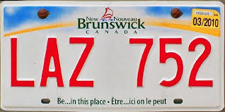 Deputy sheriffs seized dozens of vehicles with bogus paper license plates on bronx streets during an overnight crackdown on aug. 36 Canadian Licence Plates Ideas License Plate Plates Canadian