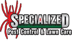 You also can see a frass (debris that looks similar to sawdust) near where the insects feed. Local Pest Control Lawn Care Experts Specialized Pest And Lawn Care