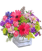 Maybe you would like to learn more about one of these? Sunny Flower Patch In A Basket In Westbury Ny Flowers By Carole