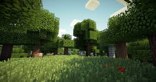 How to install shaders on minecraft 1.16.1 shaders are an essential part of minecraft mods. Shaders Mod 1 17 1 1 16 5 1 15 2 1 14 4 1 13 2 For Minecraft Download