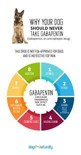 Pin On Health Issues In Dogs