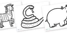 Glossy skin lizard coloring pages. Colouring Pages Of Tropical Rainforest Animals For Kids