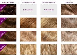 Ammonia Free High Lift Shades Lighten Hair Up To 3 Levels Without Damage Or Brassiness How To Lighten Hair Brassy Hair Hair Lift