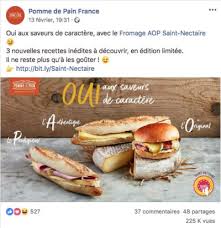 Pain sandwich au thon, mozzarella, tomates, poivrons, oignons, huile d'olive et ail noir pain sandwich maison une aide culinaire à portée de main et toujours disponible. Mihaela Dinica Interdirect