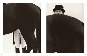 Koto Bolofo La Maison Vol 1 Horses S Izobrazheniyami