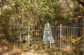 Progulka Po Pogostu 18 Voxpopuli