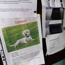 Tier Gefunden Oder Entlaufen Neue Webseite Fur Halter Tiere