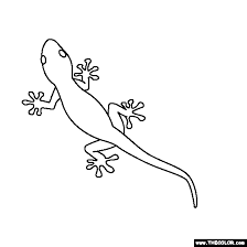Click the gecko coloring pages to view printable version or color it online (compatible with ipad and android tablets). Gecko Coloring Page