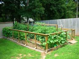 Information About Rate My Space Vegetable Garden Raised Beds Fall Garden Vegetables Raised Bed Vegetable Garden Designs