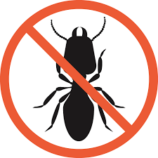 Clarksville pest control pros provides the best local pest control services preventing bed bugs, mice, ants, mosquitos, and bees. Termites Clarksville Tn Cato S Exterminating Co