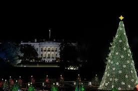 Tree delivery, but if you'd like to go to a d.c. The Top Washington Dc Christmas W Prices