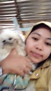 Miss you Koda😀 Carla Joanna Ballesteros Dahl. Mingaw na cous.😀