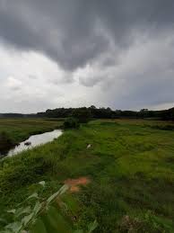 50.36 acres of commercial land for sale in nash county nc! 50 Acres Land For Sale Near Kolenchery Kerala Ernakulam Home Facebook