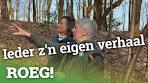 Bijzondere bomen en hun verhalen in het Hart van Drenthe ... - YouTube