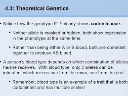 Read the wiki to see if your question has already been answered under the faqs. 4 3 Theoretical Genetics Define Genotype Phenotype Dominant