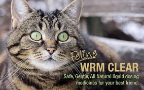 How to deworm a cat at home. Worming Your Cat Is There A Natural Alternative Homeopet