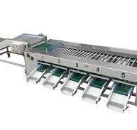Fruit and Vegetable Grading Machine