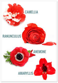 What S In Season A Guide To Winter Wedding Flowers Artfully Wed Wedding Blog Winter Wedding Wedding Flowers Winter Wedding Flowers