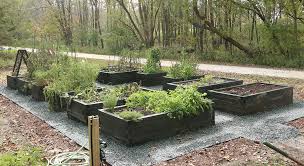 The beds do not have to be very high off the ground to get the benefits from being in a raised bed. The Ultimate Guide To Raised Beds The Impatient Gardener