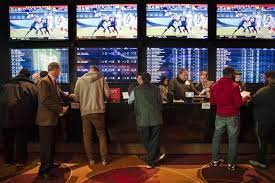 See the action unfold right in front of your eyes. 10 Facts About U S Sports Bettors Usbettingreport Com