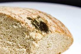 4 Simple Ways To Tell Your Bread Is Bad No Special Equipment Needed