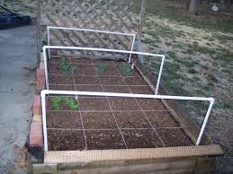 Bird Netting For Garden Near Me How To Protect Raised Beds From Animals And More Square Foot Gardening Forum Garden Netting Garden Yard Ideas Square Foot Gardening