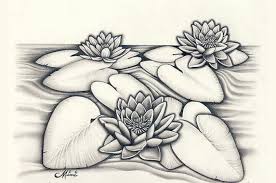 Pada dasarnya sketsa ini digunakan untuk sebagai sebuah. 15 Gambar Sketsa Bunga Dari Pensil Yang Mudah Dibuat