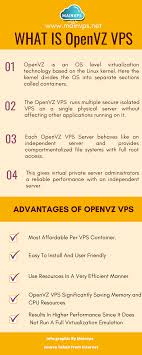 Openvz Vps Info Graphic In 2020 Virtual Private Server Infographic Info