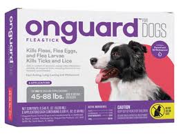 With the list of the best flea and tick medicine for dogs below you should be able to choose one or so that this is our review of the best flea and tick medicine for dogs. Flea And Tick Prevention Solutions For Dogs In 2020 Herepup