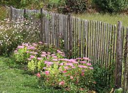 ganivelle jardin recherche google barriere jardin cloture ganivelle et jardins champetres