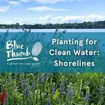 Planting for Clean Water: Shorelines – Rice Creek Watershed