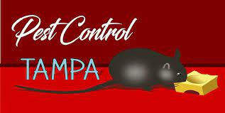 The primary goal of hirerush company is to connect you with the most reputable providers you can trust and return again and again. The 6 Best Options For Pest Control In Tampa 2021