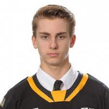 Statistics of ty voit, a hockey player from pittsburgh, pa born jun 10 2003 who was active from 2019 to 2020. Sarnia Sting Official Site Of The Sarnia Sting