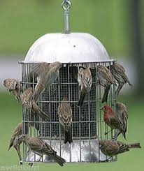 Maybe you would like to learn more about one of these? Chickadee Farm Home Facebook