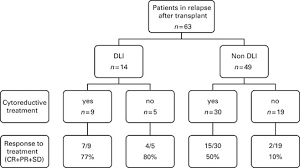 Effect Of Immune Modulation In Relapsed Peripheral T Cell Lymphomas After Post Allogeneic Stem Cell Transplantation A Study By The Societe Francaise De Greffe De Moelle Et De Therapie Cellulaire Sfgm Tc Bone Marrow