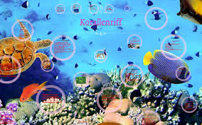 8 фраз в 4 тематиках. Korallenriff By Carlotta Hinrichs
