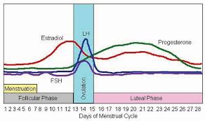 53 unique period hormone chart