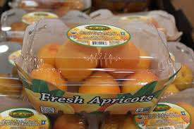 Image result for Apricot 1972 Hussmann
