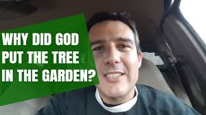 Check spelling or type a new query. Why Did God Put The Tree Of The Knowledge Of Good And Evil In The Garden Parking Lot Dropkick Youtube