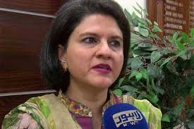 Punjab govt replaces DG LDA Amna Imran Khan