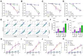 Image result for Hypoxis sp. A (as per FZ 12-3)