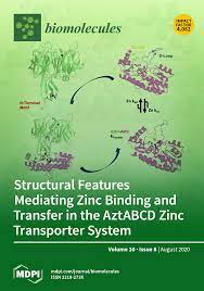 Those who successfully pass the hsk exam (level 3) should be able to communicate in chinese at a basic level in their daily, student, and professional life. Biomolecules August 2020 Browse Articles
